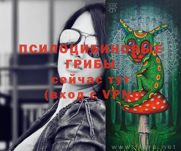 ешки Беломорск