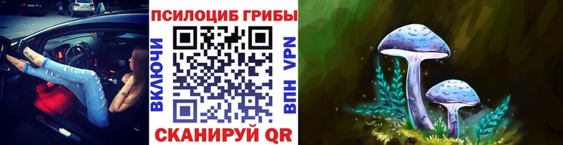 купить наркотик  Покровск  Галлюциногенные грибы ЛСД 